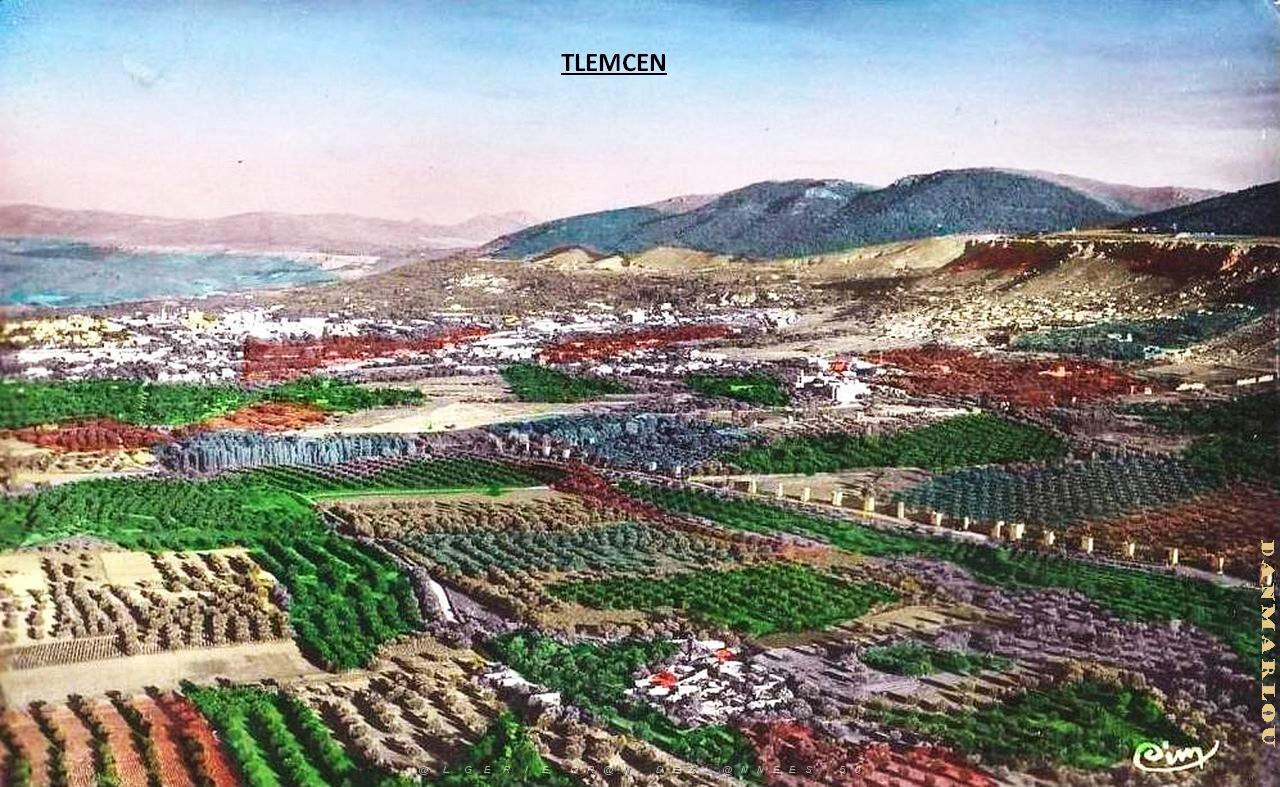 Tlemcen 208 .jpg